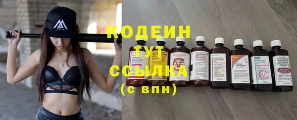 ешки Бородино