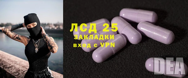 ешки Бородино