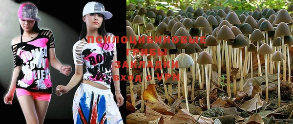 PSILOCYBIN Верхнеуральск