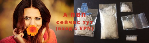 тгк Богородск