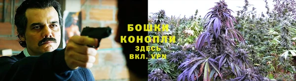 прущая мука Бронницы